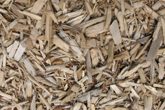 biomass boilers Pant Pastynog